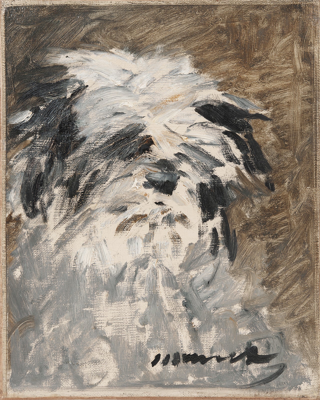 Shaggy Dog Art Print