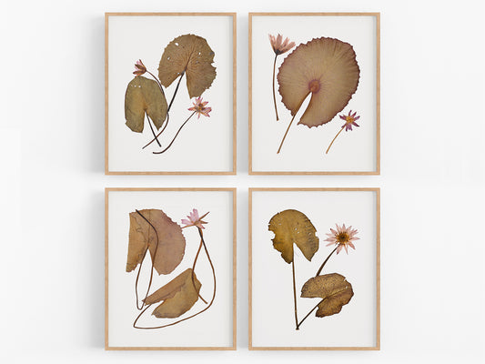 Pressed Water Lily Tropical Decor Art Prints - Set of Four
