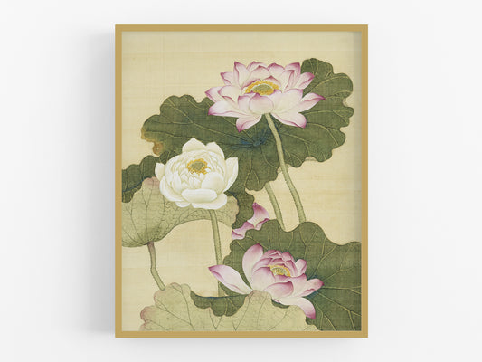 Chinese Pink Lotus Flower Chinoiserie Art Print