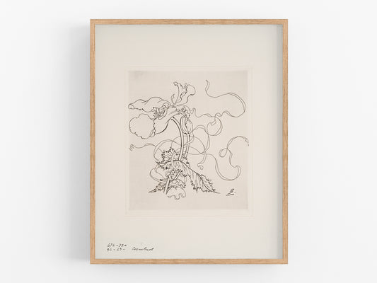 French Porcelain Flower Sketch Art Print: Assiette (Poppy)