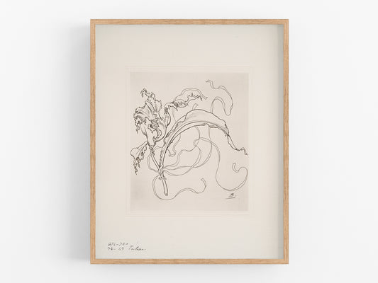 French Porcelain Flower Sketch Art Print: Assiette (Tulipe)