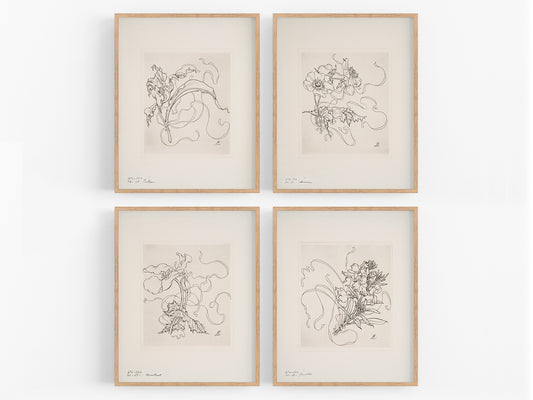 French Porcelain Flower Sketch Art Prints, Set #1 - Set of Four