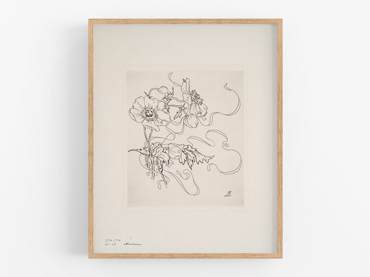 French Porcelain Flower Sketch Art Print: Anemone