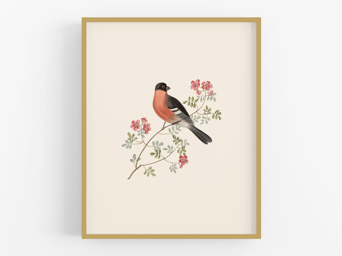 Finch Art Print #1: Bullfinch