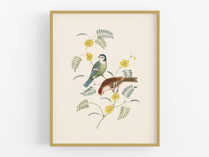 Finch Art Print #4: Tom-tit and Red Pole