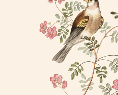 Finch Art Prints: Bullfinch & Goldfinch - Set of Two