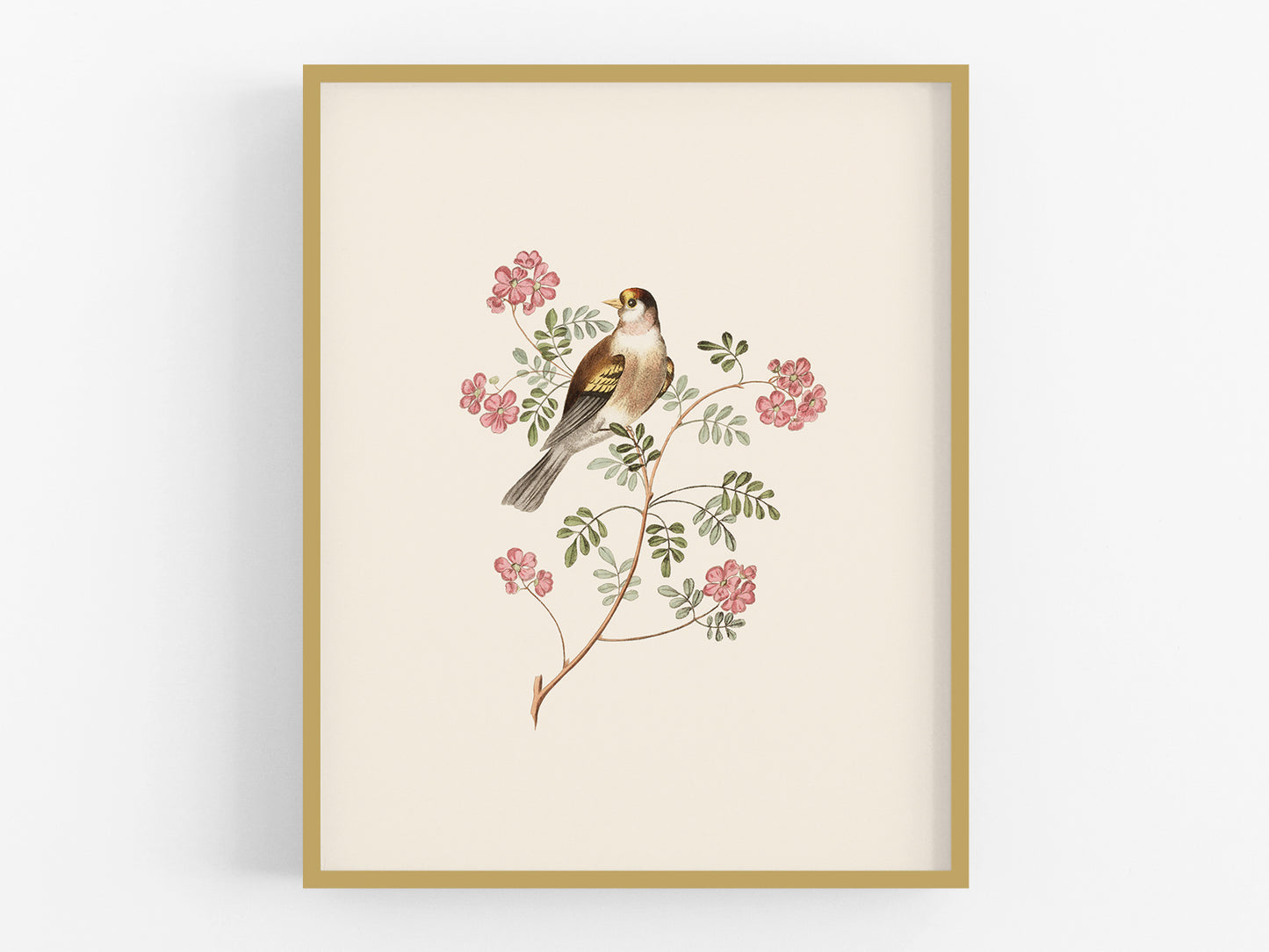 Finch Art Print #3: Goldfinch