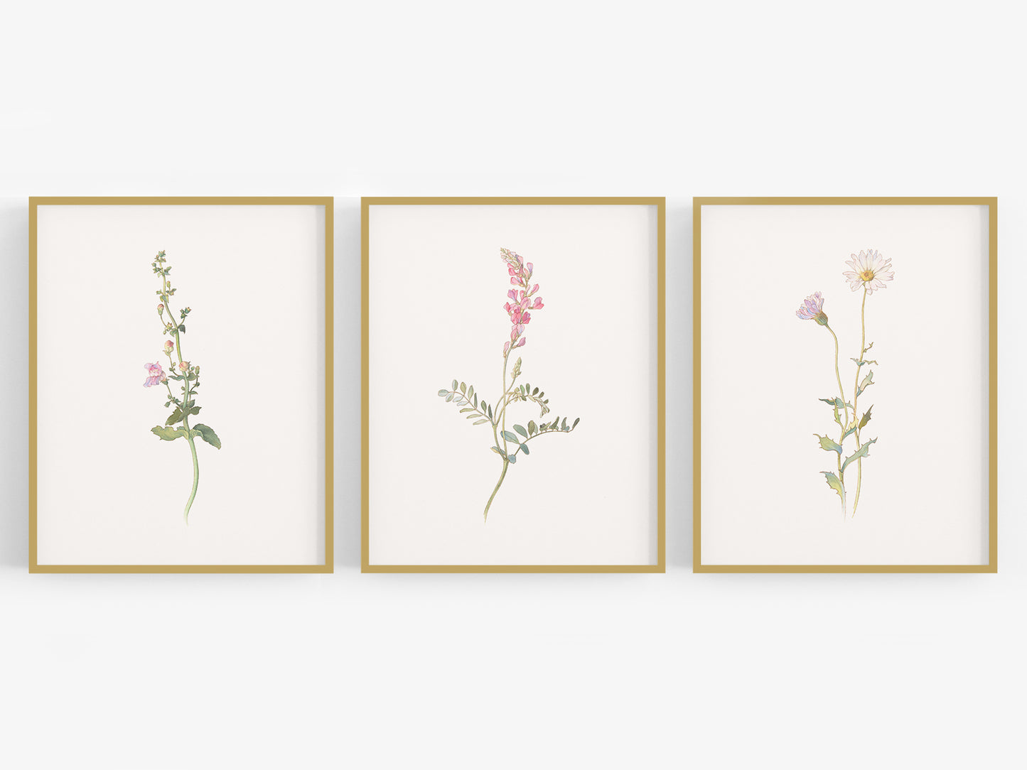 Wildflower Botanical Art Prints in Pink - Set of Three