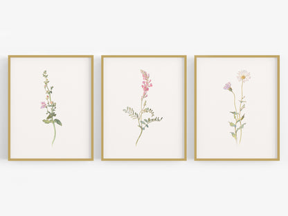 Wildflower Botanical Art Prints in Pink - Set of Three