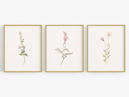 Wildflower Botanical Art Prints in Pink - Set of Three