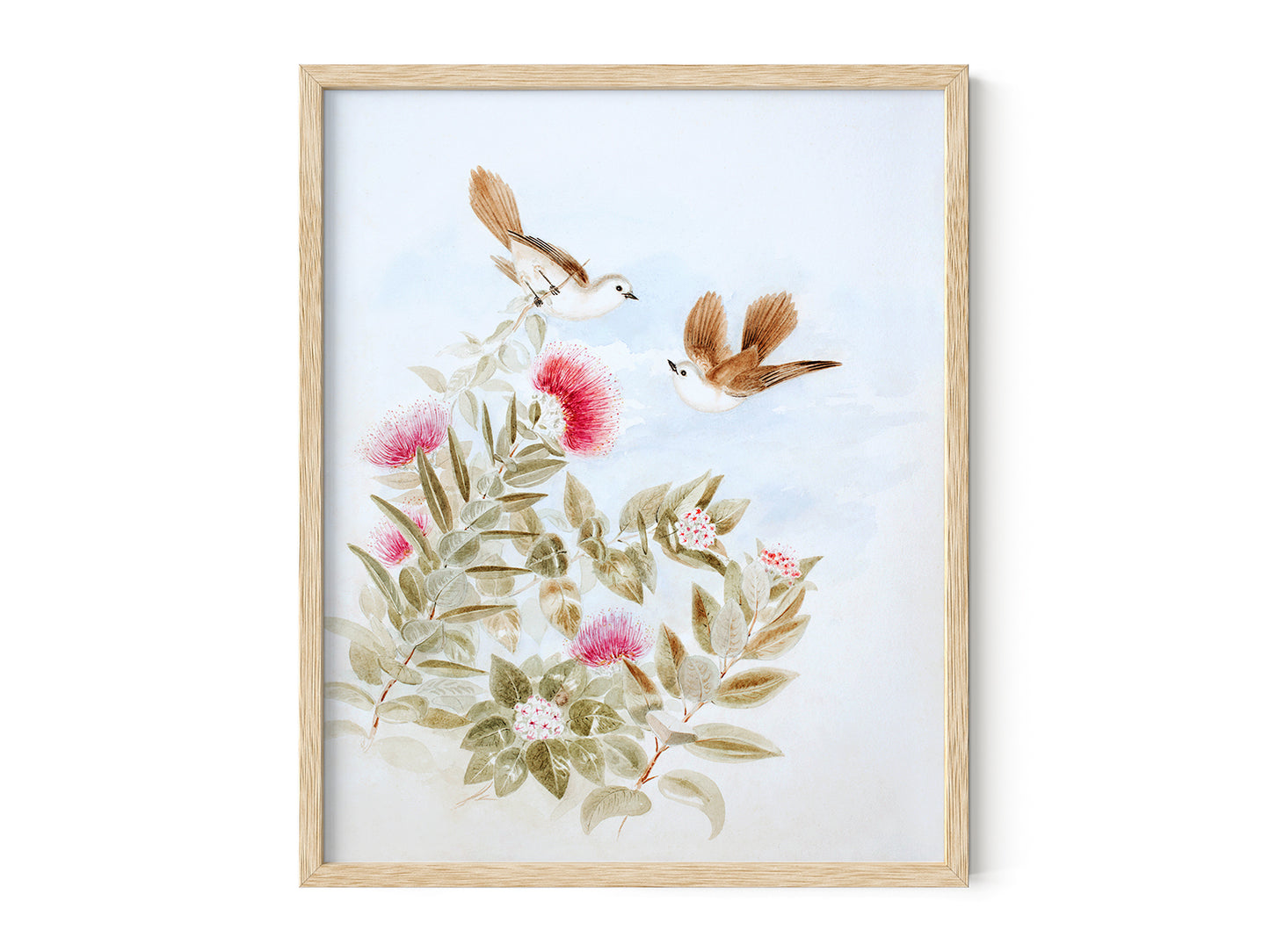 New Zealand Whitehead Birds: Storybook Baby Nursery Botanical Art Print