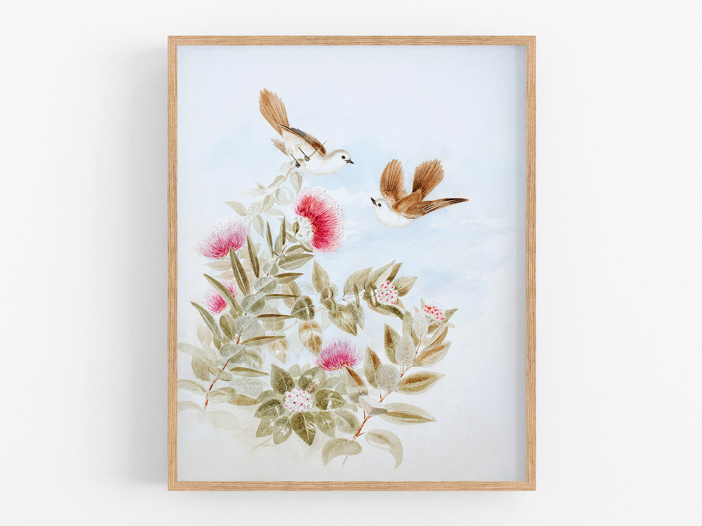 New Zealand Whitehead Birds: Storybook Baby Nursery Botanical Art Print