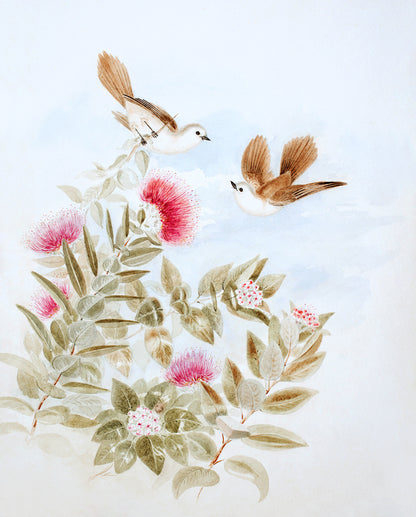 New Zealand Whitehead Birds: Storybook Baby Nursery Botanical Art Print