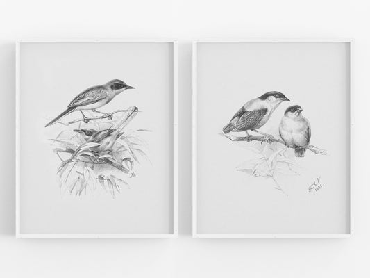 Birds on Branches, Sketch Art Prints - Set of Two