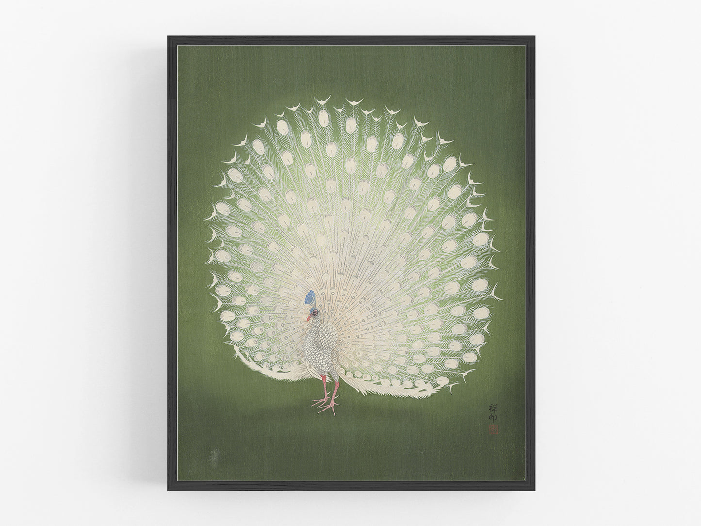 Japanese Peacock on Green Art Print