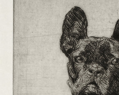 French Bulldog Art Print