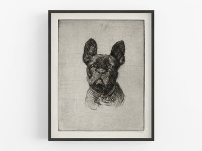 French Bulldog Art Print