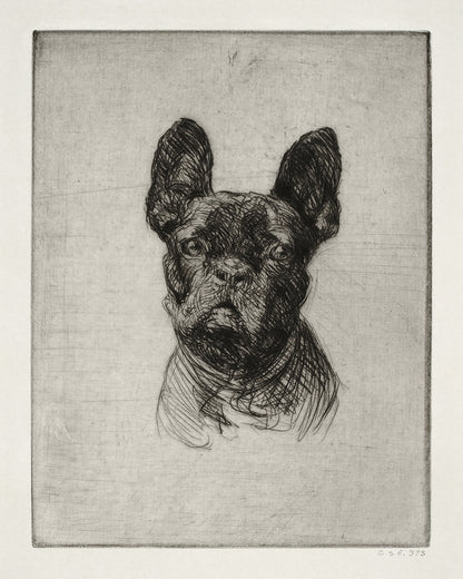 French Bulldog Art Print