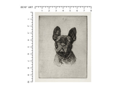 French Bulldog Art Print