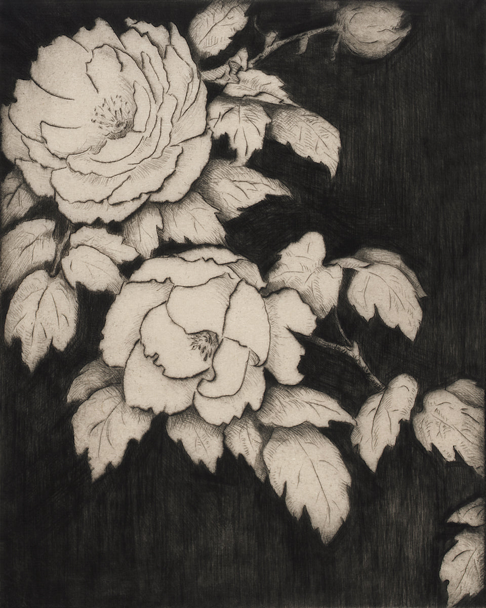 Japanese Peonies Engraving Art Print