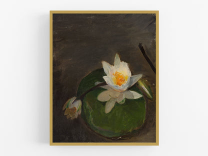 Water Lilies on a Leaf Art Print