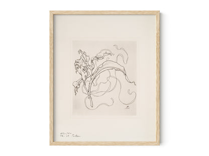 French Porcelain Flower Sketch Art Print: Assiette (Tulipe)