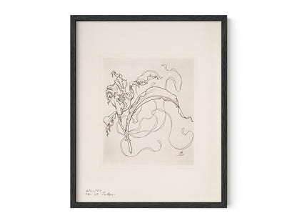 French Porcelain Flower Sketch Art Print: Assiette (Tulipe)