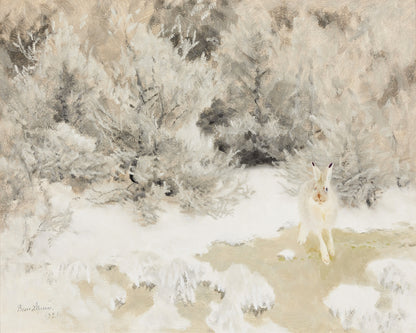 Bunny in Winter Art Print #3