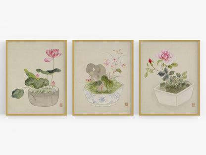 Japanese Lotus Flowers in Pots Art Prints - Set of Three