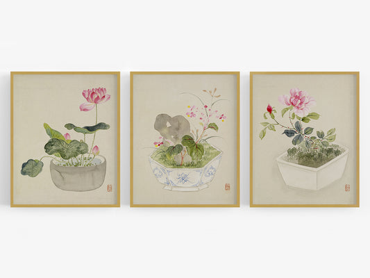 Japanese Lotus Flowers in Pots Art Prints - Set of Three