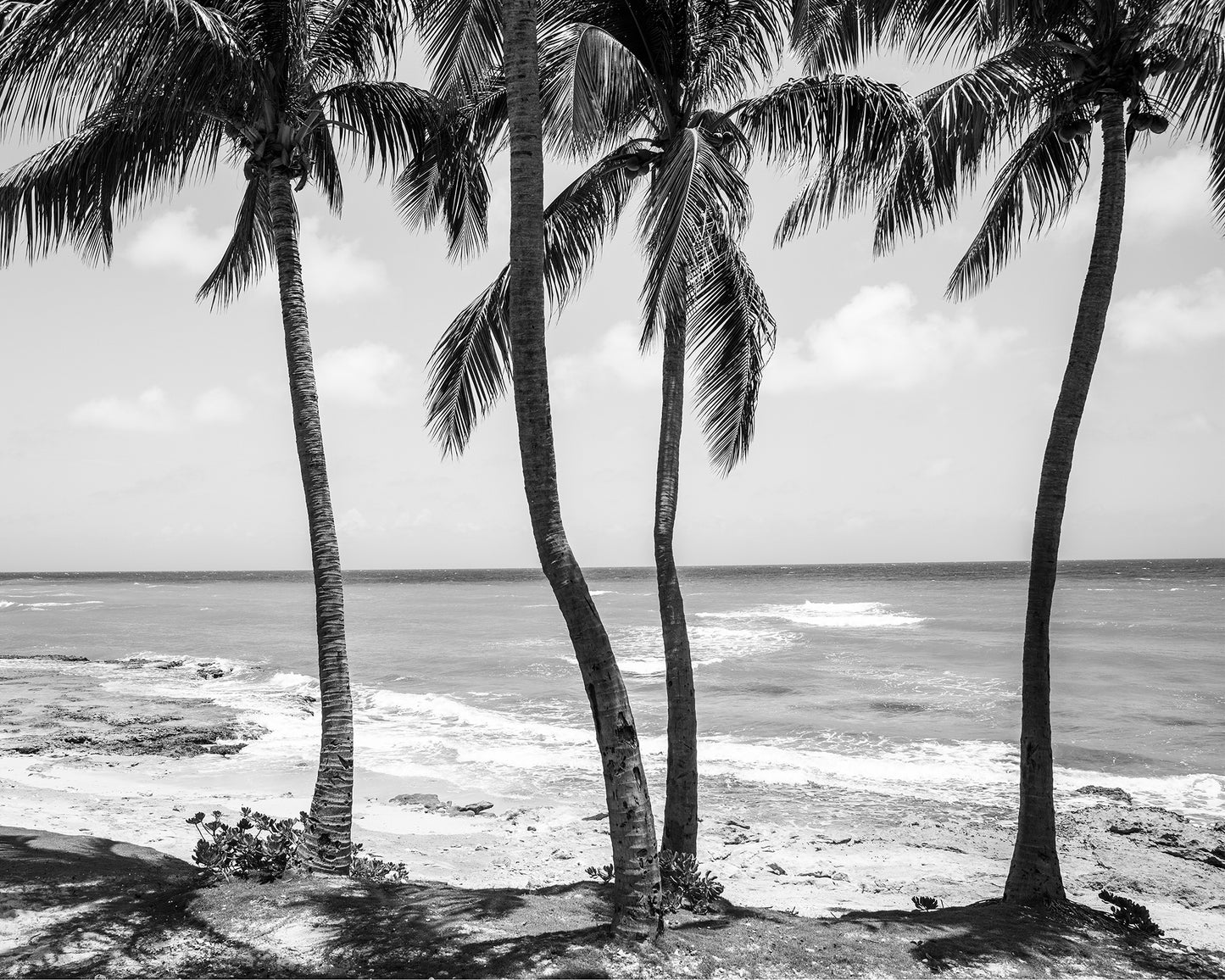 Montego Bay Jamaica Beach B&W Photo Print