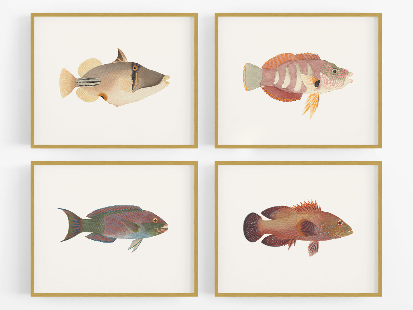 Tropical Fish Watercolor Art Prints - Set of Four