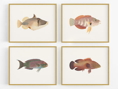 Tropical Fish Watercolor Art Prints - Set of Four