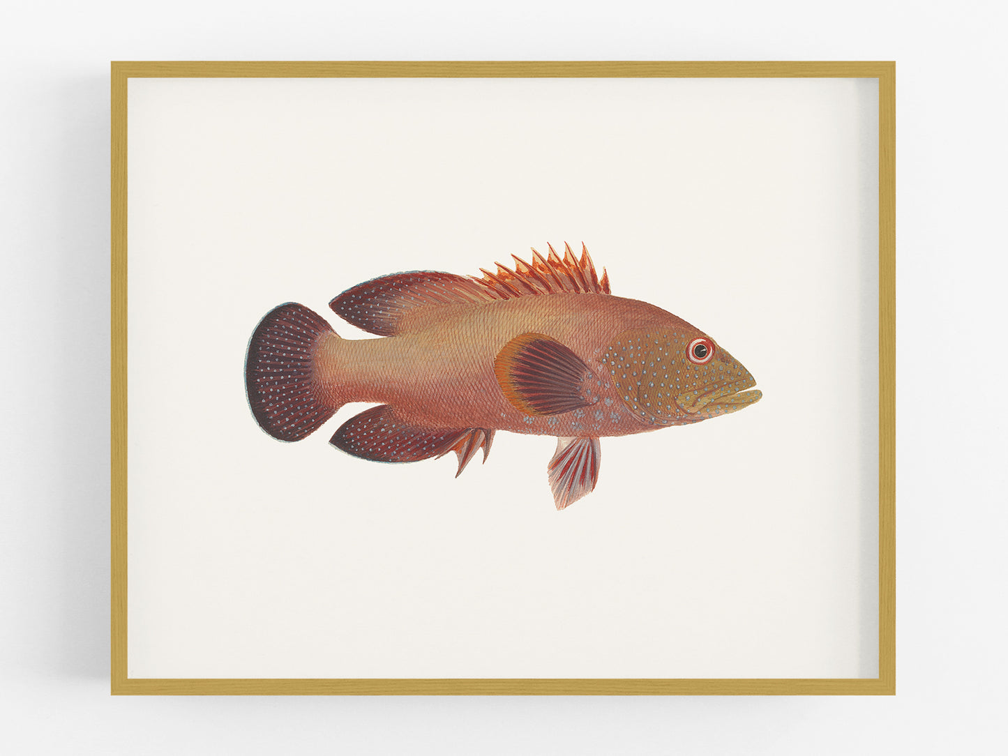 Tropical Fish #3 Watercolor Art Print