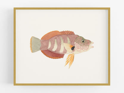 Tropical Fish #4 Watercolor Art Print