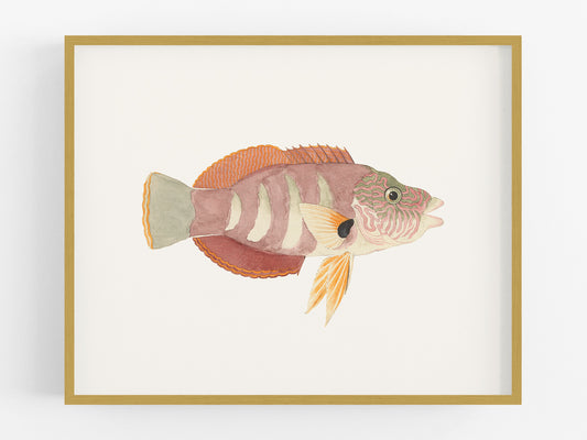 Tropical Fish #4 Watercolor Art Print