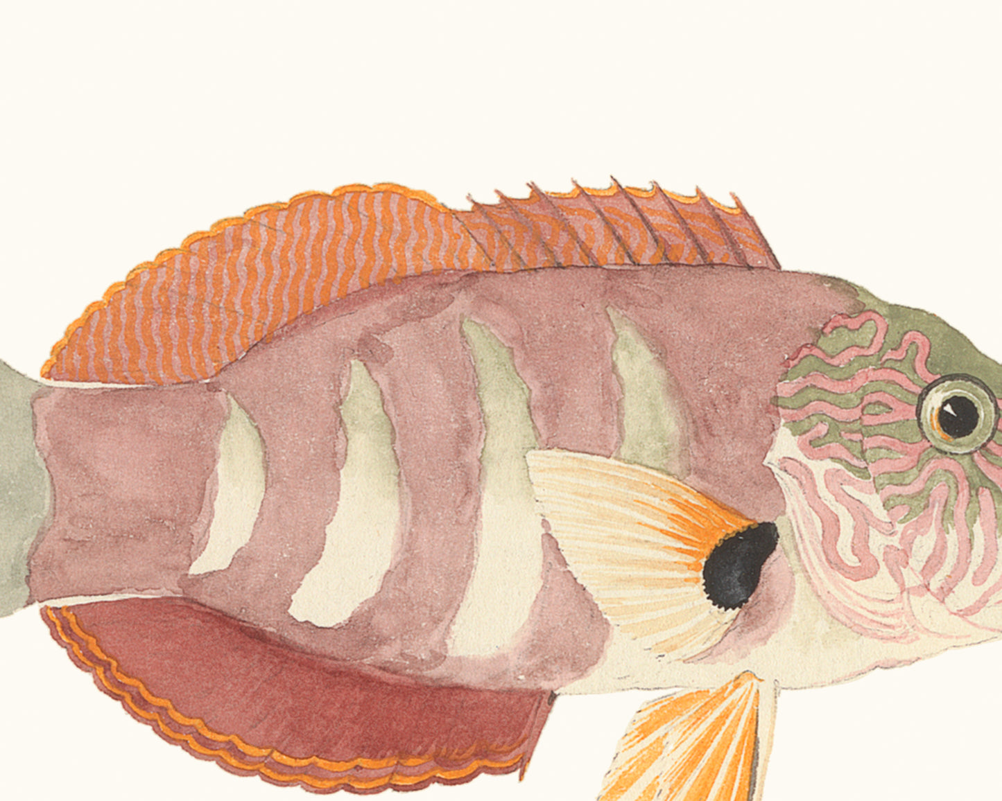 Tropical Fish #4 Watercolor Art Print