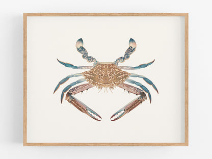 Blue Crab Watercolor Art Print