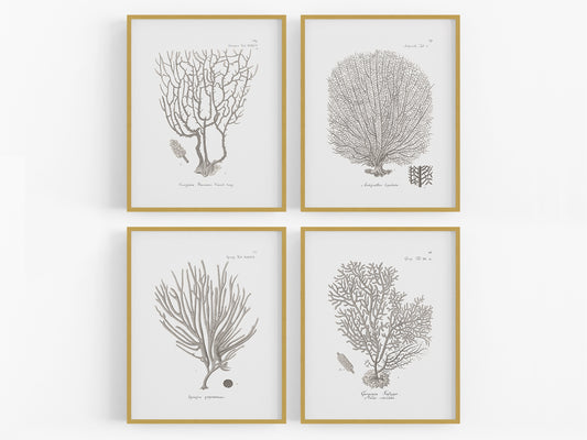 Coral Art Prints in Beige - Set of Four