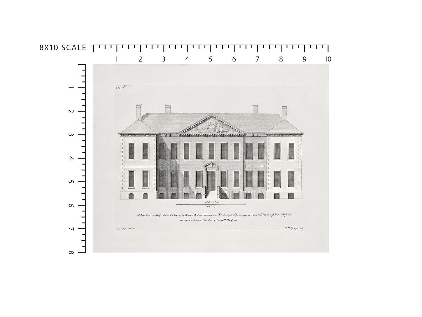 London Townhouse Architectural Elevation Drawing Art Prints - Set of Four
