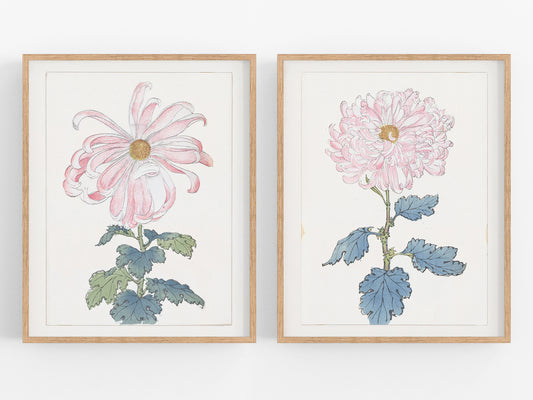 Japanese Pink Chrysanthemum Flower Art Prints, #1 & #6 - Set of Two