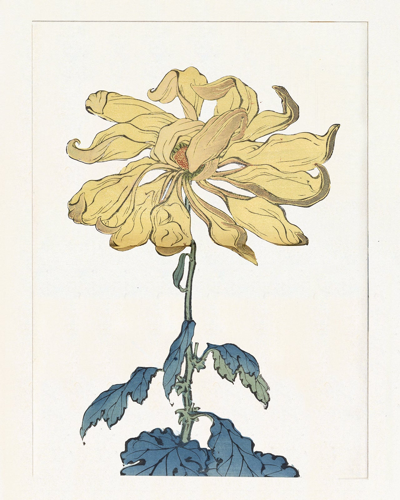 Japanese Yellow Chrysanthemum Flower Art Prints - Set of Four