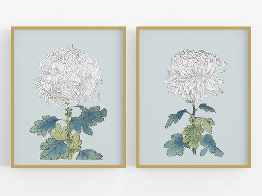 Japanese White Chrysanthemum Flowers on Blue Art Prints - Set of Two