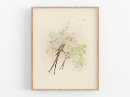 Watercolor Hummingbird Sketch Art Print #2