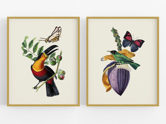 Colorful Tropical Bird Art Prints - Set of Two